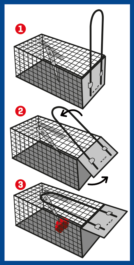 WEITECH  MOUSE & RAT GLUE for traps